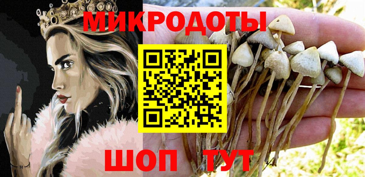 Галлюциногенные грибы Psilocybine cubensis  Псилоцибиновые грибы MAGIC MUSHROOMS  цены наркотик  Вход с VPN  Кызыл 